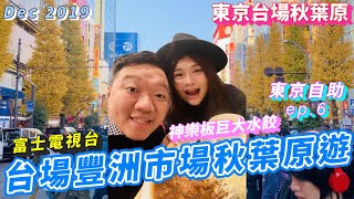 【東京自助旅行 Ep.6】台場豐洲市場秋葉原