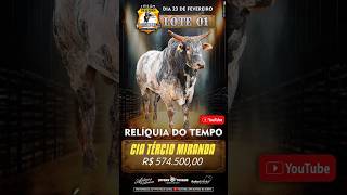 Relação dos Touros Vendidos no Leilão da Cia JK Bucking Bulls #shorts #leilao #rodeio