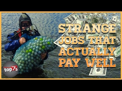 Top 7 Strange Jobs That Actually Pay Well - YouTube