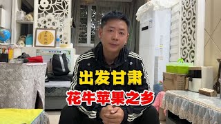 叉子受邀出发甘肃天水，一年一季的花牛苹果熟了，我们来啦【叉子闯四海】