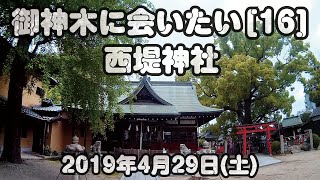 御神木に会いたい[16]西堤神社2023年4月29日(土)