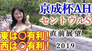 【競馬】京成杯AH セントウルS 2019 直前展望（東西で有利な脚質が真逆！） ヨーコヨソー