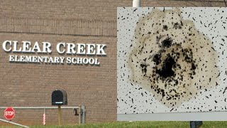 ‘Potential growth’: Mold concerns at Charlotte elementary school