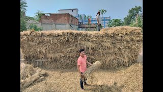 Dhan Katayi Suru Ho Gaya😍|धान कटाई शुरू हो गया😍| Village Life| Farming Life|