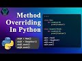 Method Overriding in Python