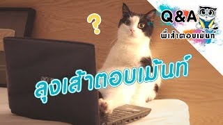 Theycallmemeaow |  ลุงเส้าตอบเม้นท์