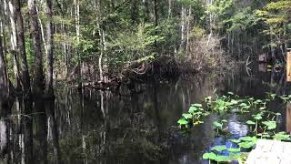 Durbin Creek Canoe launch