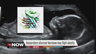 Researches discover hormone may fight obesity