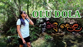 Olu dola | Hulandawa Sri lanka 🍃 #survival #srilanka #solo #travel