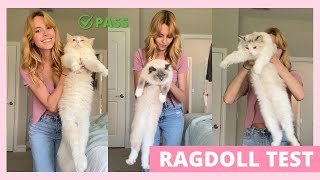 Does Your Cat Pass the Ragdoll Test?