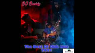 Dj Buddy(For The Love Of Club Jazz - Set 1).mp4