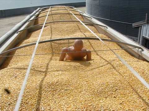 Grain Entrapment Simulation Youtube