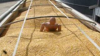 Grain Entrapment Simulation