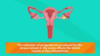 How does MIFEPRISTONE work?