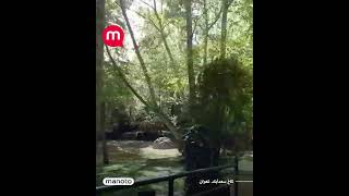 گزارشگرمنوتو: امیدوارم خانواده پهلوی به زودی برگردند