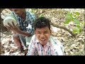 honey hunting 2 மலை தேன் வேட்டை honey hunting at forest village food safari vfs