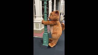 TDL　トゥルーズのグリーティング🐈　2019.07　ディズニーランド　おしゃれキャット