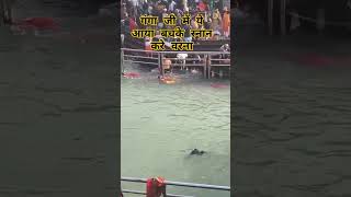 ध्यान से देखें गंगा जी में यह क्या आया #ganga #shortvideos #haridwarganga #gangavlog #haridwarvlogs