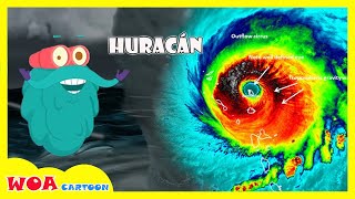 Películas Animadas |  : Qué es un Huracán y Dónde se Forma? Dibujos Animados