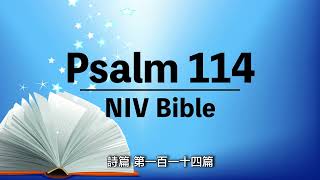 NIV Bible【Psalm 114】Audio Bible with text 有聲聖經英語⎜中英字幕⎜詩篇 第一百一十四篇⎜聆聽版