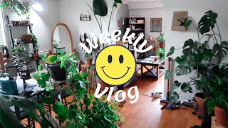A lot of food, how I'm meal planning + new plant shelf set up | Weekly Vlog