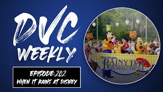 Offsite DVC Properties, Food Review (Trail's End @ Wilderness Lodge), Raining at Disney -Episode 202