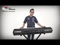 Yamaha PSR-S975/S775 - Indonesian Legacy Pack - Dangdut Ver. 01