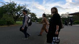 【JAPAN 4K】Shinjuku Gyoen to Yotsuya • Walk Pt.1【TOKYO 東京】