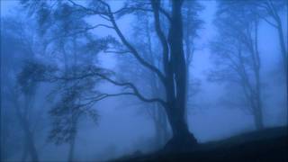 Richard Wagner -Der Ring des Nibelungen- Siegfried`s Funeral Music