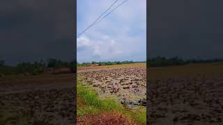 ഒരുപാട് ദിവസങ്ങൾക്കു ശേഷം ഒന്ന് കറങ്ങാൻ ഇറങ്ങി.... i am so happyyyyy❤️❤️❤️❤️❤️❤️❤️❤️💓💞❤‍🔥