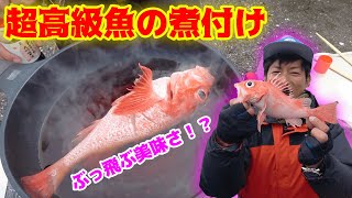 【日本釣り旅#19】釣れたての高級魚キンキの煮付けが過去一番美味しかった・・・