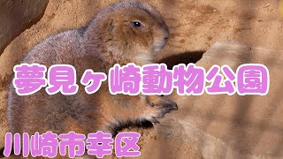 無料で入れる！夢見ヶ崎動物公園 ｜川崎市幸区