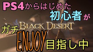 【BLACKDESERT/PS4黒い砂漠】#41/12時まで！何したらいいか迷走した挙句強化に走った迷子です