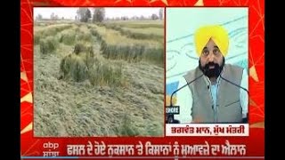 Bhagwant Mann : ਫ਼ਸਲ ਦੇ ਖ਼ਰਾਬੇ ਤੋਂ ਬਾਅਦ ਐਕਸ਼ਨ ਵਿੱਚ CM ਮਾਨ, ਕਿਸਾਨਾਂ ਦੇ ਇੱਕ-ਇੱਕ ਪੈਸੇ ਦੀ ਕੀਤੀ ਜਾਵੇਗੀ ਭਰਪ