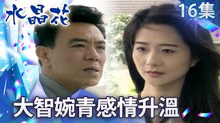 曉曼失足墜樓昏迷不醒　大智外遇婉青戀愛進行式！  【水晶花 完整版】EP16 王淑娟 沈孟生 王道 應曉薇 王耀慶 賈靜雯 @FlowerTVseries