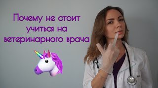 ПРОФЕССИЯ ВЕТЕРИНАР : ГОТОВЫ ЛИ ВЫ СТАТЬ ВРАЧОМ?