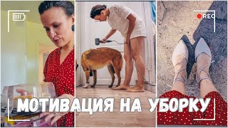 ВЛОГ: Мотивирую на уборку | Купила торты на др | В поисках балеток | Мою собаку 07.09.24