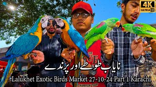 Lalukhet Exotic Birds and Parrots Market 27-10-2024 Karachi Part 1 | Rare Breeds of Hen and Rooster