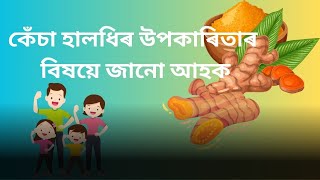 📌কেঁচা হালধিৰ উপকাৰিতাৰ বিষয়ে জানো আহক #turmeric