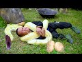 Dwarf family harvests tea leaves and how to make tea by hand | panic when attacked by giant python