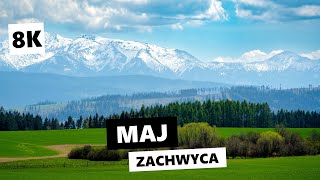 Zachwycający maj [8K] | Tatry, Beskidy, Babia Góra, góry, szlak, podróże, turystyka, weekend