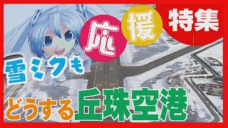 【滑走路延長を要請】新潟拠点「トキエア」も就航めざす　札幌・丘珠空港の可能性