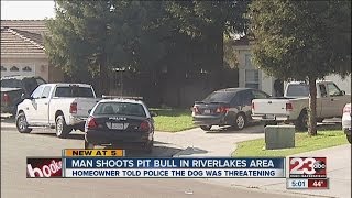 Man shot pitbull in Riverlakes