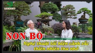 NON BỘ: HỒN THIÊN NHIÊN THU NHỎ - NGHỆ THUẬT CỔ KÍNH GIAO THOA THỜI GIAN | chia sẻ cụ Lê Quang Khang