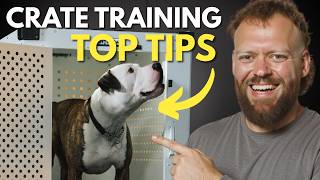 Crate Training Tips That Actually Work