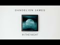 dandelion james in the night 🌙