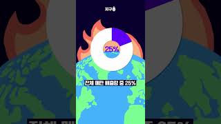 방귀 좀 뀌었다고 세금을 내라고?! #shorts