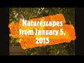 naturescapes from january 5 2015 music slideshow