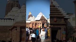 KAU JANMA RA KI PUNYA #puri #purijagannath #puridham #purijagannadh #yt #ytshorts #ytviral #ytshort