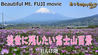 [ Japanese Mt. FUJI ] れんげ畑 ～ 後世に残したい富士山百景